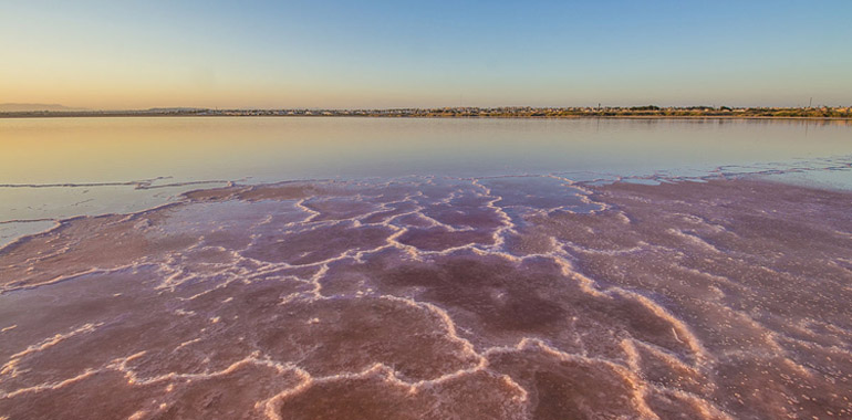 murcia laguna rosa