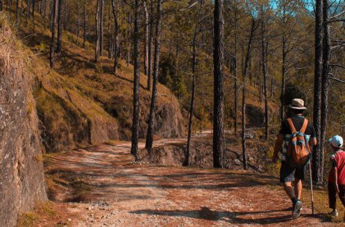 padre caminando con niño montaña